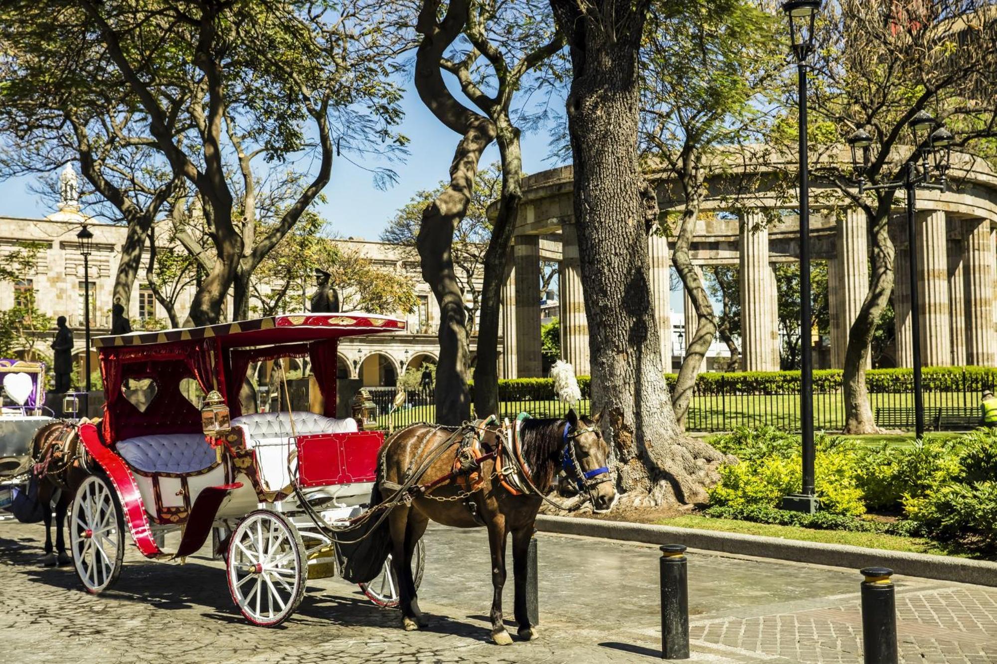 Hotel Plaza Genova Centro Guadalajara Eksteriør bilde